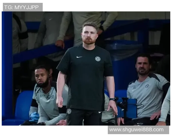 英超激战曼城逆转本菲卡全场数据解析揭示精彩瞬间