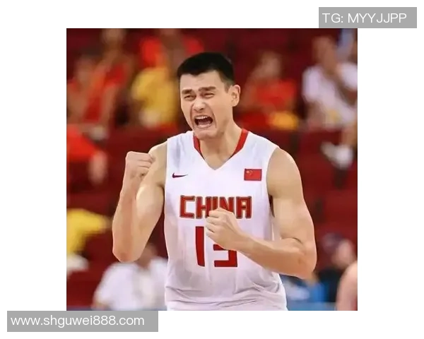 姚明粉丝大战引发热议球迷文化碰撞与情感交锋的精彩瞬间