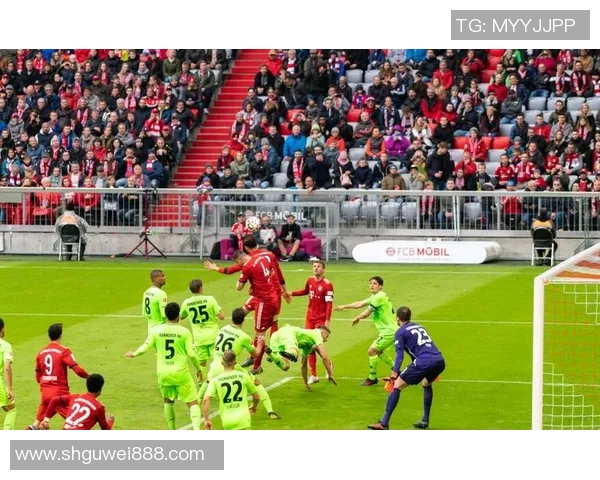 足总杯精彩对决那不勒斯与拜仁激战成平局引发全场热烈反响