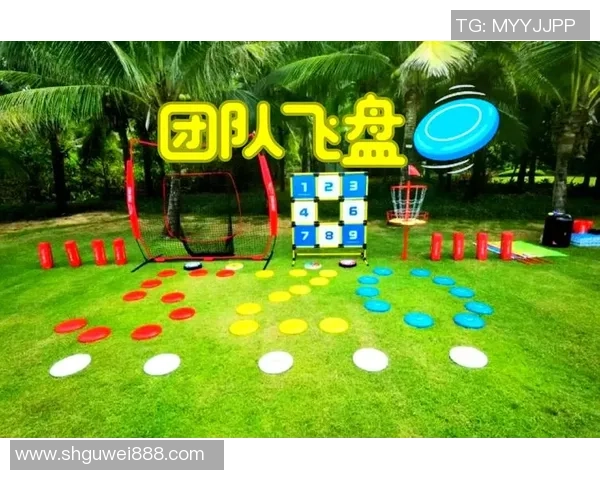 飞盘热潮下的北京飞盘队运营模式与发展策略分析